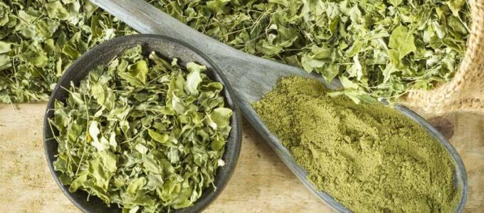 ¿Donde comprar moringa? Entra y te digo donde venden